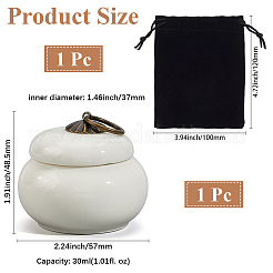 1Pc Ceramic Mini Pet Cremation Urn&nbsp;AJEW-GF0012-45