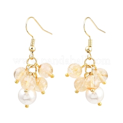6 Pairs Natural Gemstone Dangle Earrings&nbsp;EJEW-JE06622