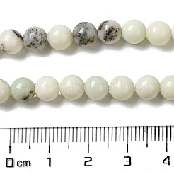 Natural Dendritic Jasper Beads Strands&nbsp;G-H298-A15-02