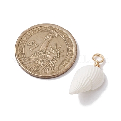 Natural Trumpet Shell Pendants&nbsp;PALLOY-JF02682-01