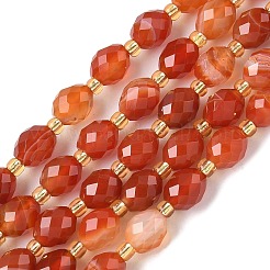 Natural Banded Agate Beads Strands&nbsp;G-F809-A37-01