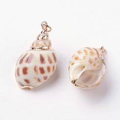 Electroplate Spiral Shell Pendants&nbsp;X-BSHE-L036-04