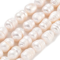 Natural Cultured Freshwater Pearl Beads Strands&nbsp;PEAR-P062-14B