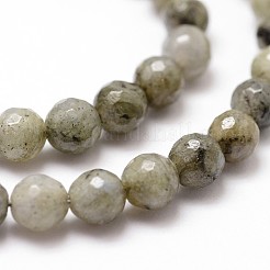 Natural Labradorite Beads Strands&nbsp;G-G736-04-6mm