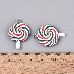Handmade Polymer Clay Pendants&nbsp;CLAY-N013-30A-02