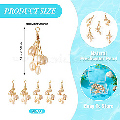 5Pcs Natural Cultured Freshwater Pearl Pendants&nbsp;PALLOY-TAC0322