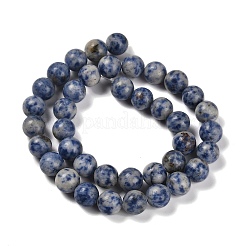 Natural Blue Spot Jasper/Flower Amazonite/Labradorite/Sesame Jasper/Glass Beads Strands&nbsp;G-P562-C-03