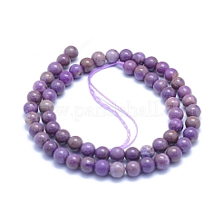 Natural Lepidolite/Purple Mica Stone Beads Strands&nbsp;G-L552H-09B