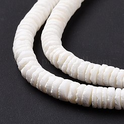 Natural Sea Shell Beads Strands&nbsp;X-SSHEL-G023-07