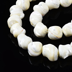 Natural Trochid Shell/Trochus Shell Beads Strands&nbsp;SSHEL-S266-003