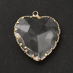 K9 Glass Pendants&nbsp;KK-E071-07KCG-04