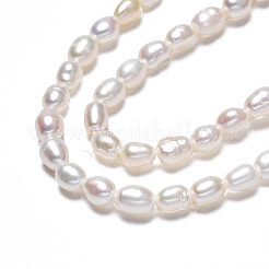 Natural Cultured Freshwater Pearl Beads Strands&nbsp;PEAR-N012-02G