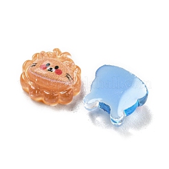 Translucent Resin Cabochons&nbsp;RESI-D005-05