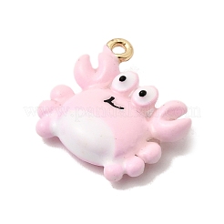Alloy Enamel Pendants&nbsp;FIND-Z119-08G-02