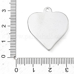 304 Stainless Steel Pendants&nbsp;STAS-F340-02GP
