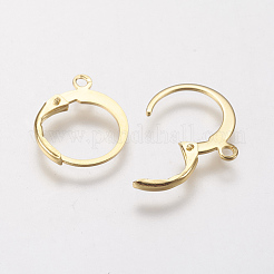 304 Stainless Steel Leverback Earring Findings&nbsp;X-STAS-F141-02G
