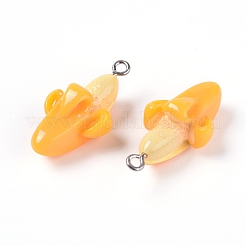 Resin Pendants&nbsp;MAK-WH0007-12