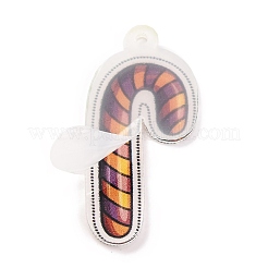Printed Acrylic Pendant&nbsp;FIND-H003-04D
