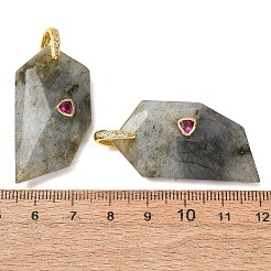 Natural Labradorite Pendants&nbsp;GG-CBA51ED-04G-01