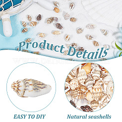 400Pcs Shell Beads&nbsp;BSHE-GO0001-05