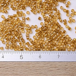 MIYUKI Delica Beads&nbsp;SEED-MY11-DB0065