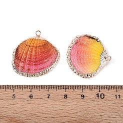 Spray Paint & Electroplate Natural Sea Shell Pendants&nbsp;SSHEL-N042-16D