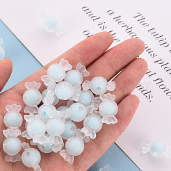 Transparent Acrylic Beads&nbsp;TACR-S152-13C-A07