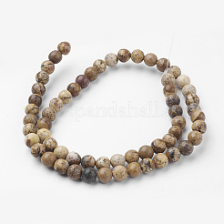 Natural Picture Jasper Bead Strands&nbsp;G-G735-16-6mm