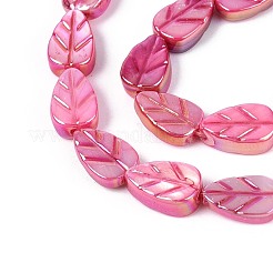 Natural Freshwater Shell Carved Beads Strands&nbsp;SHEL-N038-25E