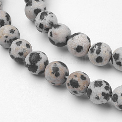 Natural Dalmatian Jasper Bead Strands&nbsp;G-G735-68F-6mm