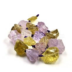 Nuggets Natural Lemon Quartz and Amethyst Beads Strands&nbsp;G-N0135-09