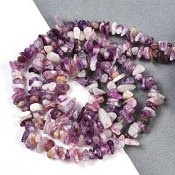 Natural Lepidolite/Purple Mica Stone Beads Strands&nbsp;G-G905-23