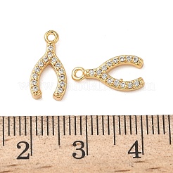 Brass Micro Pave Clear Cubic Zirconia Charms&nbsp;KK-B160-27G