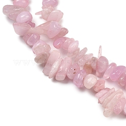 Natural Kunzite Beads Strands&nbsp;G-P597-A01-01