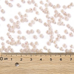 6/0 Opaque Colours Rainbow Plated Round Glass Seed Beads&nbsp;SEED-T006-04D-02