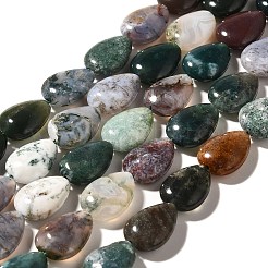 Natural Indian Agate Beads Strands&nbsp;G-I377-A08