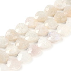 Natural Rainbow Moonstone Beads Strands&nbsp;G-G118-A01-01