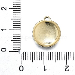 304 Stainless Steel Charms&nbsp;STAS-H233-04G
