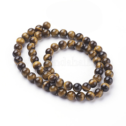 Natural Tiger Eye Beads Strands&nbsp;G-G099-6mm-4