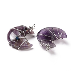 Natural Amethyst Pendants&nbsp;G-B023-01P-07