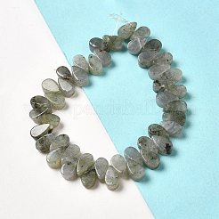Natural Labradorite Beads Strands&nbsp;G-B064-B62