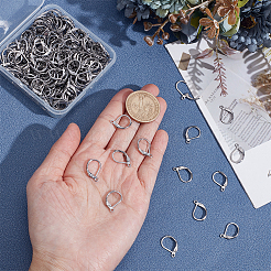 250Pcs 304 Stainless Steel Leverback Earring Findings&nbsp;STAS-ME0001-04