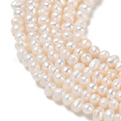 Natural Cultured Freshwater Pearl Beads Strands&nbsp;PA-CBAC463-32