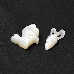 Natural Freshwater Shell Beads Sets&nbsp;BSHE-E026-10