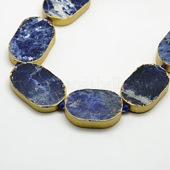 Oval Natural Sodalite Beads Strands&nbsp;G-N0119-01