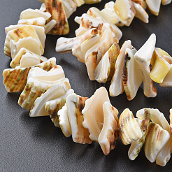 Natural Spiral Shell Bead Strands&nbsp;SSHEL-N034-110