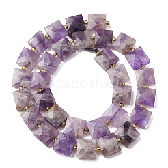 Natural Amethyst Beads Strands&nbsp;G-F839-A14-01