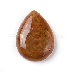Natural Indian Agate Cabochons&nbsp;G-O176-01