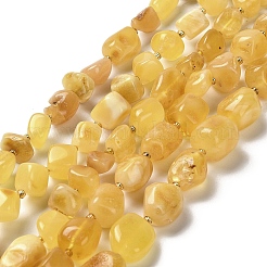Natural Amber Beads Strands&nbsp;G-L095-F01-02