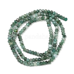 Natural Emerald Beads Strands&nbsp;G-B175-A19-2x3mm